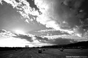 Campi di grano - Sigma 10 20 Nikon