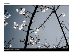Temi gratis wordpress per fotografi